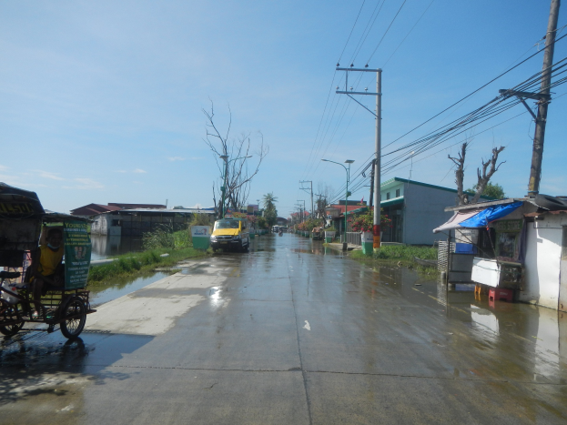 Eine überflutete Straße mit einem Rikscha auf der Seite, Fahrzeuge auf der Straße fahrend, Strommasten mit Drähten, Gebäude und Bäume im Hintergrund und ein sichtbarer Himmel, mit einem Wasserzeichen in der rechten unteren Ecke.