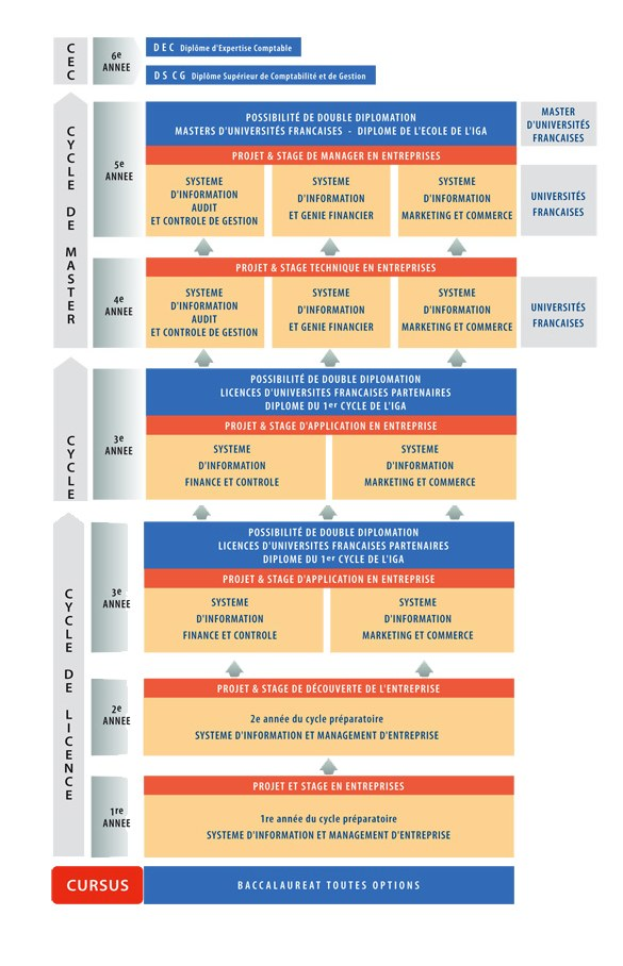 Diagramm, das die organisatorische Struktur eines Unternehmens mit interconnected boxes darstellt, die die verschiedenen Phasen des Unternehmenswachstums und der Entwicklung darstellen, begleitet von beschreibendem Text.