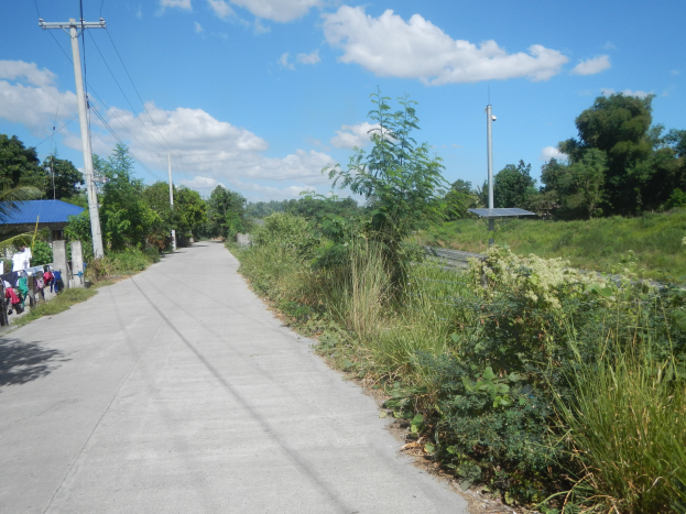 Kleidung hängt zum Trocknen an einer asphaltierten Straße, umgeben von Vegetation, Strommasten und einem Schuppen unter einem bewölkten Himmel.