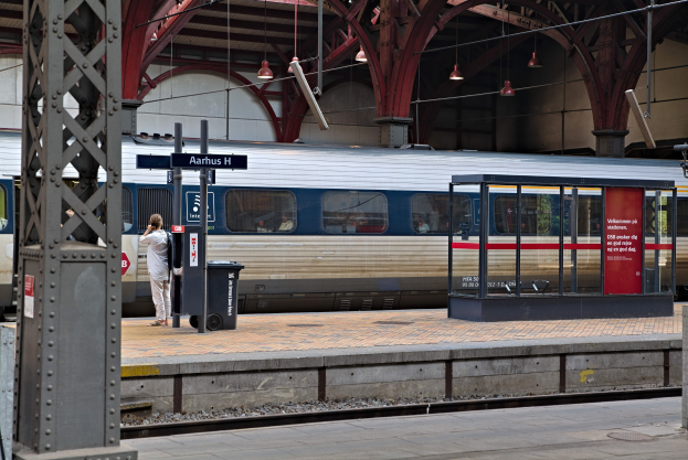 Ein Zug fährt in einen Bahnhof ein, mit einer Person auf dem Bahnsteig, einem nahen Müllcontainer, Stötzen, Informationsanzeigen und Deckenleuchten.