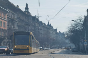 Eine gelbe Straßenbahn fährt eine von hohen Gebäuden, Bäumen, Laternenmasten und Schildern gesäumte Stadtstraße entlang.