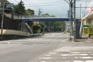 Stadtstraße mit einer Fußgängerbrücke darüber, Fahrzeuge auf der Straße, Strommasten mit Drähten, Verkehrsampeln, Schilder, Gebäude mit Fenstern, Bäume und Himmel im Hintergrund.