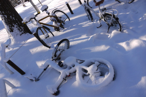 Eine verschneite Straße mit zahlreichen Fahrrädern, die teilweise von Schnee bedeckt sind, ein Baumstamm und eine Straße.