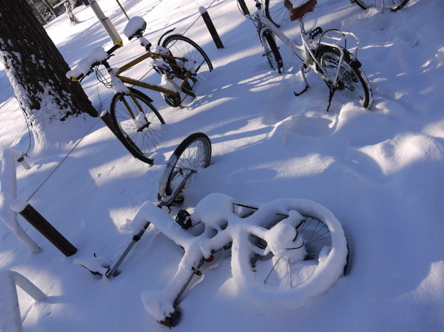 Eine verschneite Straße mit zahlreichen Fahrrädern, die teilweise von Schnee bedeckt sind, ein Baumstamm und eine Straße.