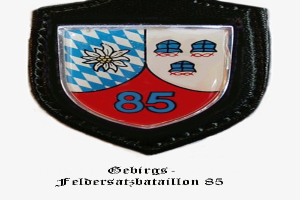 Ein rundes Abzeichen mit der Zahl 85 und deutschem Text unten, das das Logo des bayerischen Füballteams darstellt.