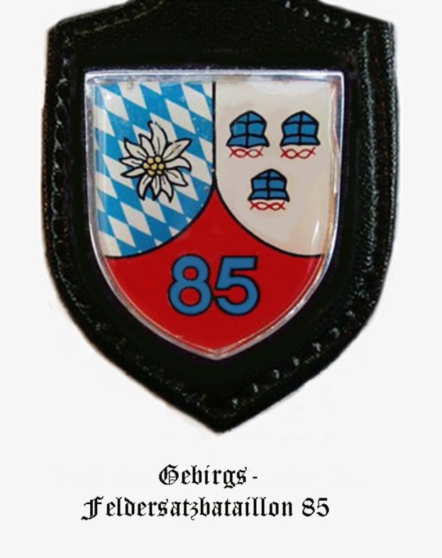 Ein rundes Abzeichen mit der Zahl 85 und deutschem Text unten, das das Logo des bayerischen Füballteams darstellt.