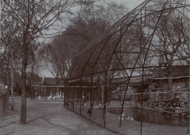 Ein Schwarz-Weiß-Foto eines Zoogeheges mit einer Brücke im Hintergrund, umgeben von Bäumen, einem Zaun und ein paar Menschen, mit Vögeln im Gehege und dem Himmel über der Brücke sichtbar.