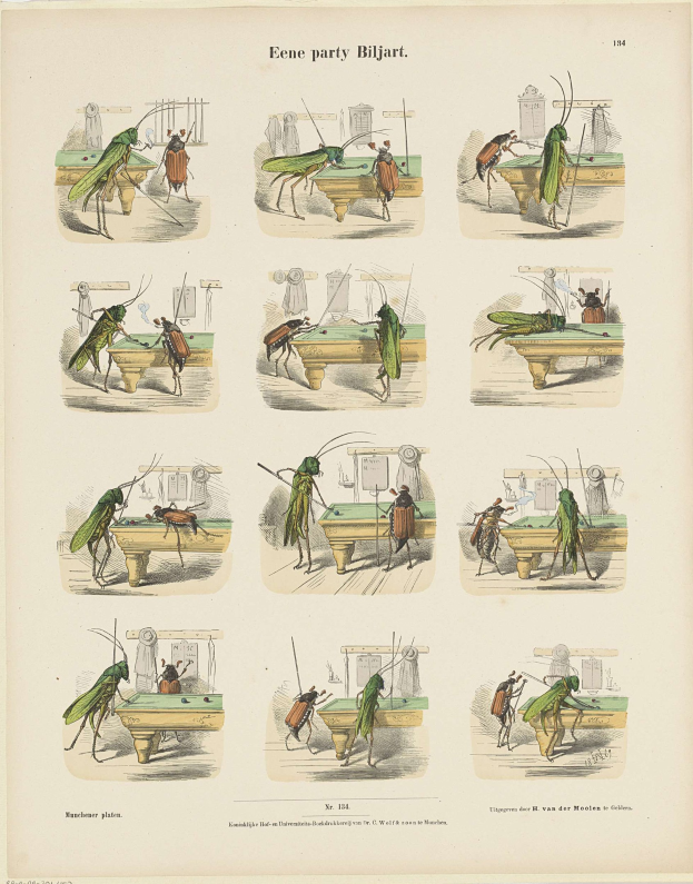 Eine Seite aus einem Buch mit einer Zeichnung einer Heuschrecke neben anderen Insektenillustrationen und beschreibendem Text.