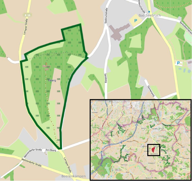Detailierte Stadtkarte, die einen zentralen grünen Bereich als geplanten Entwicklungsstandort hervorhebt, mit umliegenden Straßen, Gebäuden und Sehenswürdigkeiten.